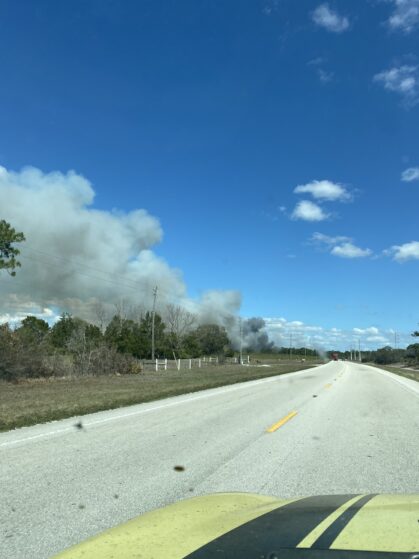 Sugar cane burns near the highway in March 2022.