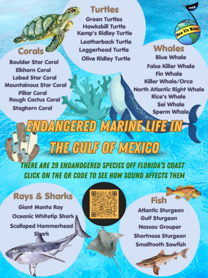 Poster of endangered and threatened Florida marine life, with a qr code to an article about how anthropogenic noise harms sea life.